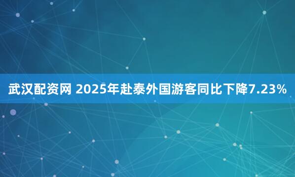 武汉配资网 2025年赴泰外国游客同比下降7.23%