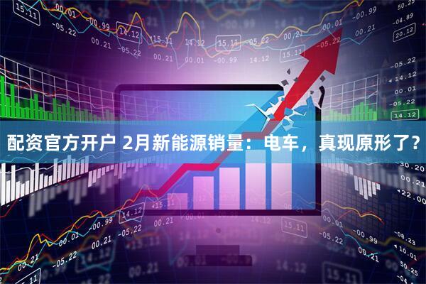 配资官方开户 2月新能源销量:电车,真现原形了?
